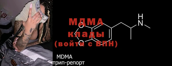 индика Алексин