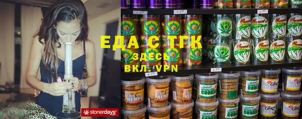 индика Алексин