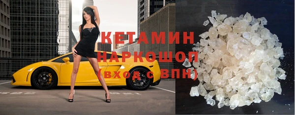 индика Алексин