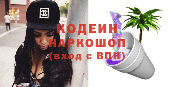 индика Алексин