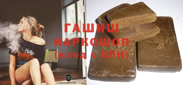 индика Алексин
