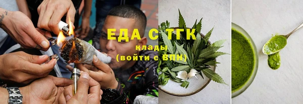 индика Алексин